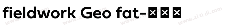 fieldwork Geo fat字体转换